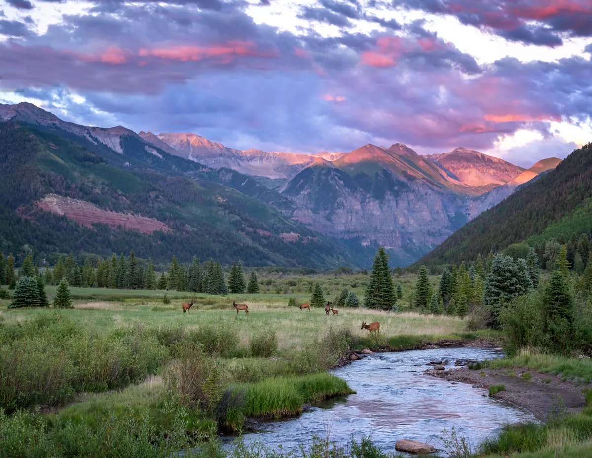 The image features a tranquil mountain stream bordered by trees, with visible wildlife and clouds overhead. The setting is serene and natural, depicting a perfect spot for wildlife watching, gentle walks, and moments of discovery along the water’s edge.